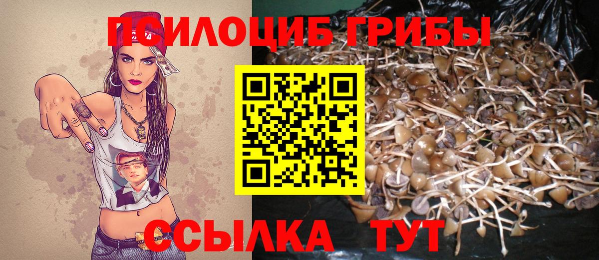 Фролово  Псилоцибиновые грибы мухоморы  Вход с VPN 