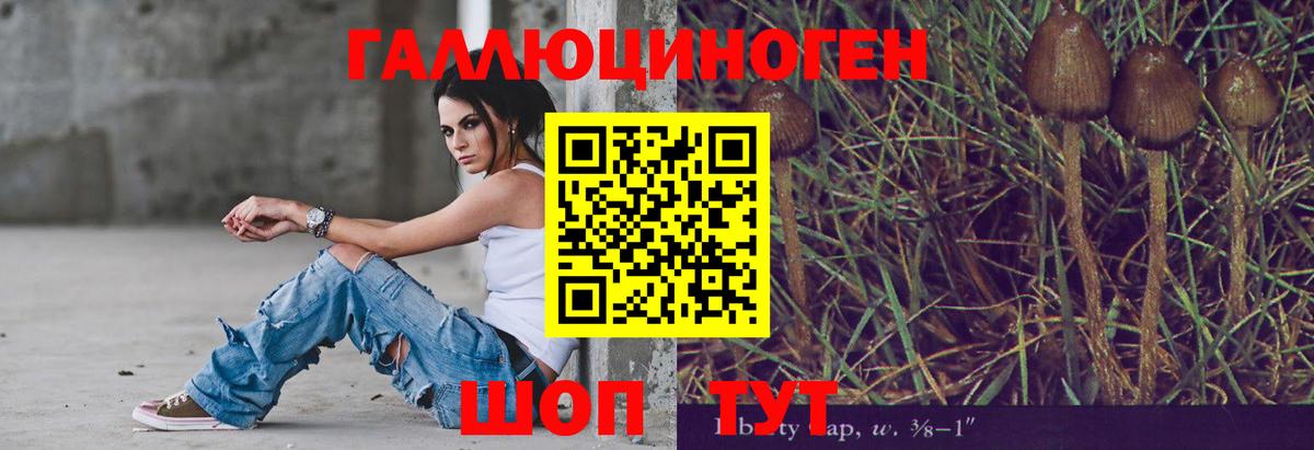 Псилоцибиновые грибы мухоморы Фролово